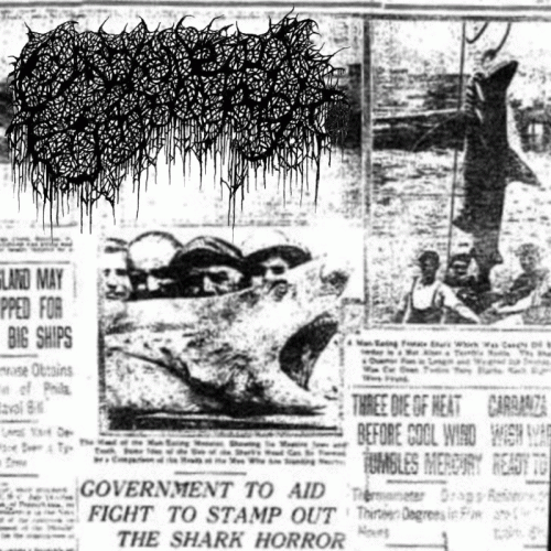 Gangrenous Erythromelalgia : Selachimorpha